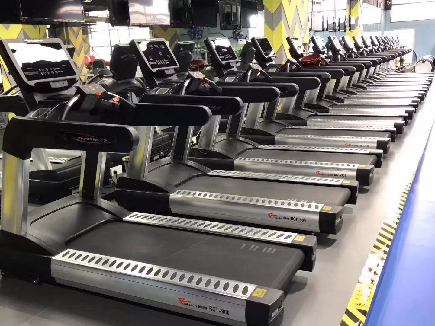 Entrenamiento cardiovascular